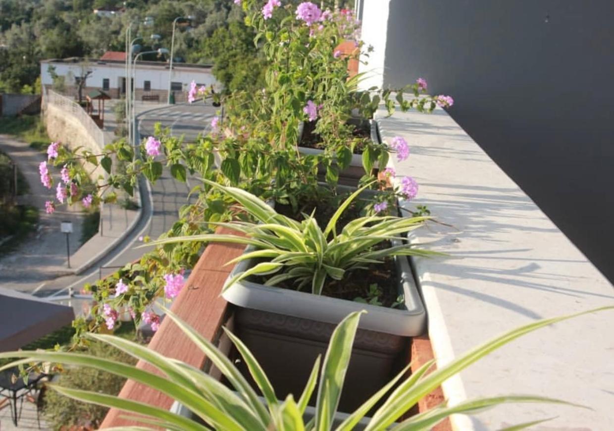 Hotell Rozmarine Pellumbas
